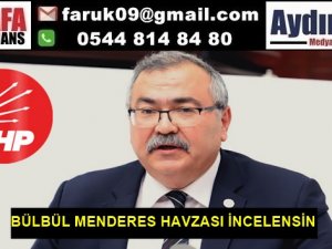 BÜLBÜL: MENDERES HAVZASI İNCELENSİN