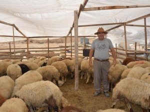 KURBAN BAYRAMI HAZIRLIKLARI TAMAMLANDI