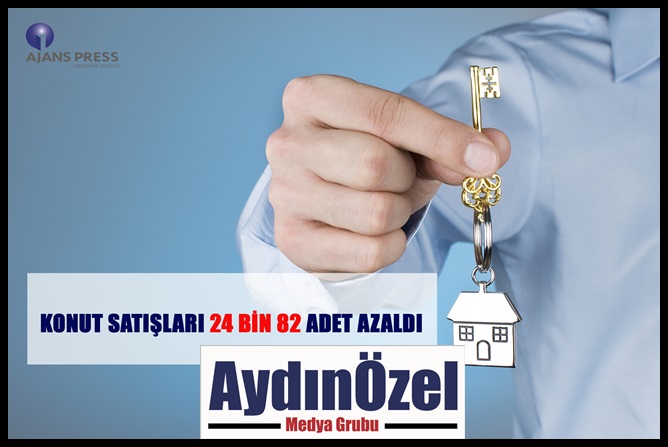 1550557322_konut_sati__lari_24_b__n_82_adet_azaldi.jpg