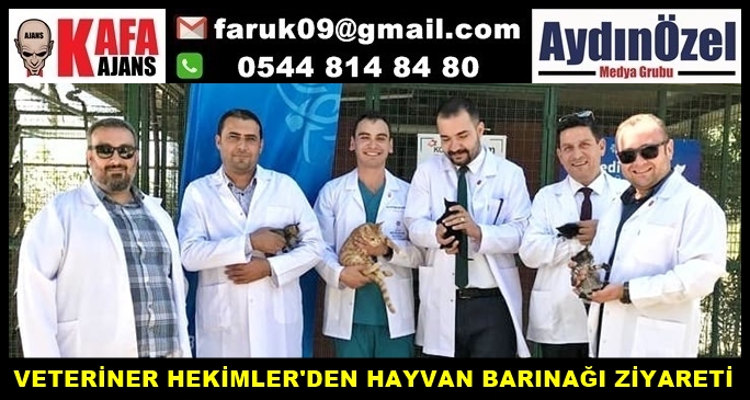 71926538_2760782010607148_5775104216947228672_n.jpg