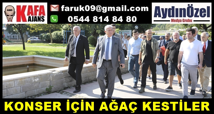 agac.jpg