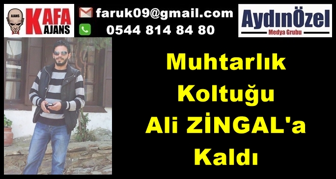 ali-zingal-1.jpg