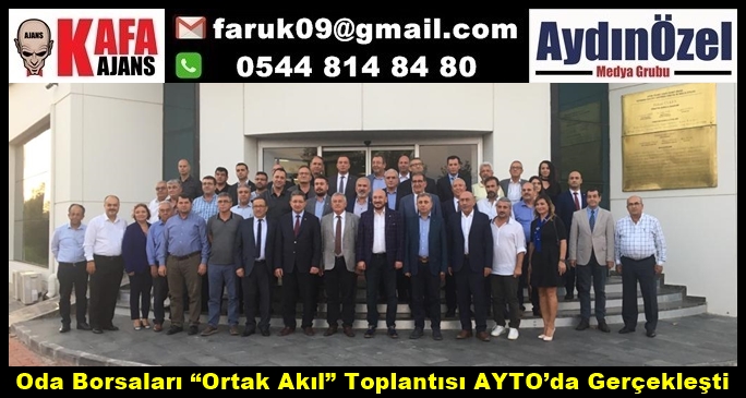 ayto-1.jpg