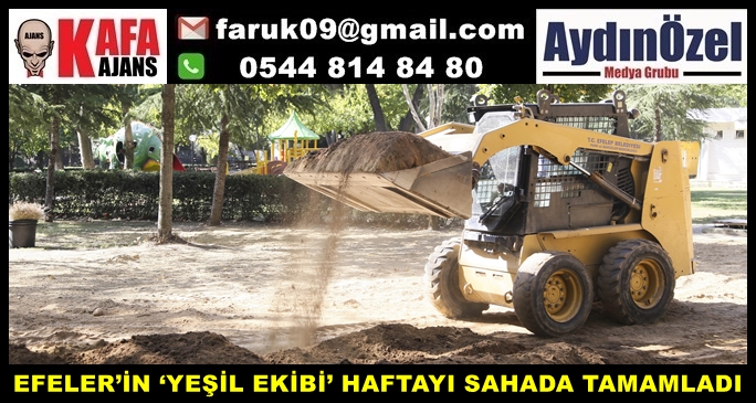 yesil-1.jpg